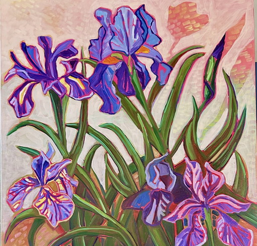 Iris