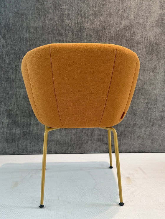 Image 1 of MONTIS Luna M0135