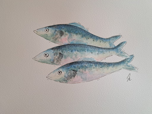 Watercolor painting Three Sardines