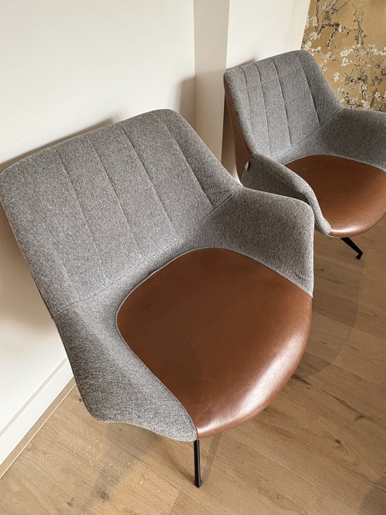 Image 1 of Zuiver Doulton dining chairs - set of 2