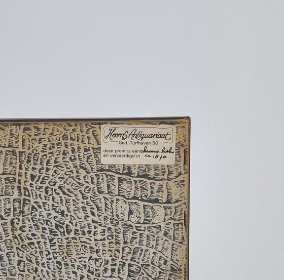 3 (Cromo) Litografie di Razze Avicole - Circa 1870 - Incorniciate – Arte, Vetro, Carta (photo 7 of 7)