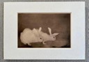 Jan Mankes 1889-1920 / Originele Heliogravure 2 Konijntjes 1923