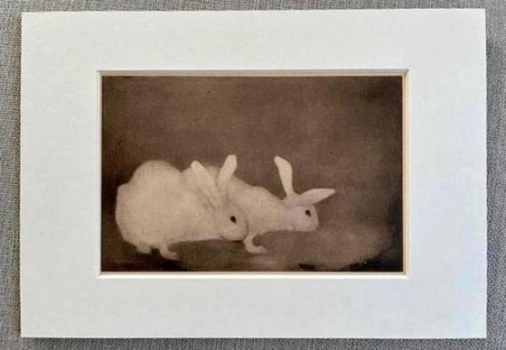 Image 1 of Jan Mankes 1889-1920 / Original Heliogravure 2 Rabbits 1923