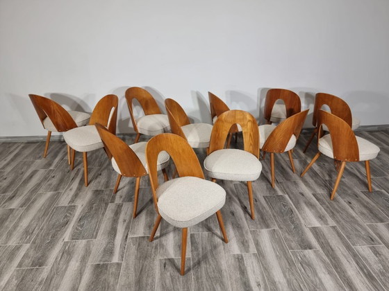 Image 1 of Dining Chairs from Antonin Suman, set of 12