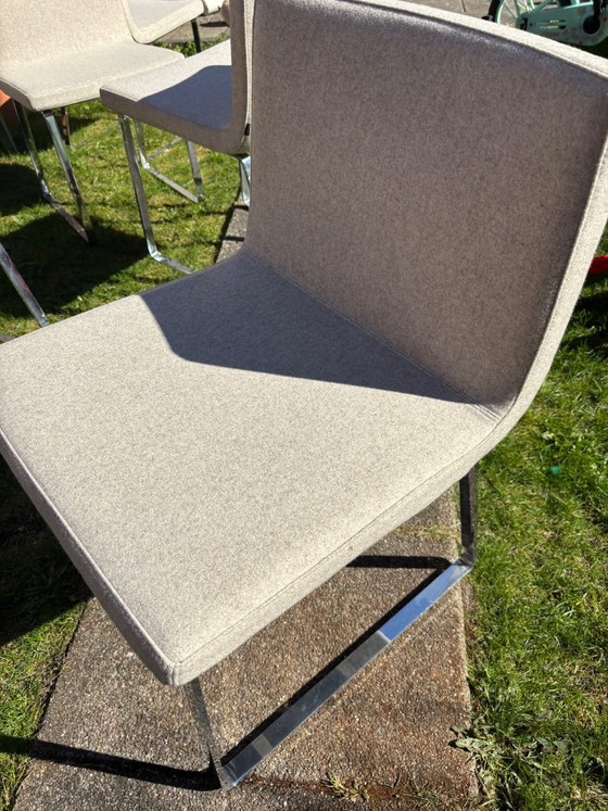 Image 1 of Juego de 6 sillas de comedor Poliform