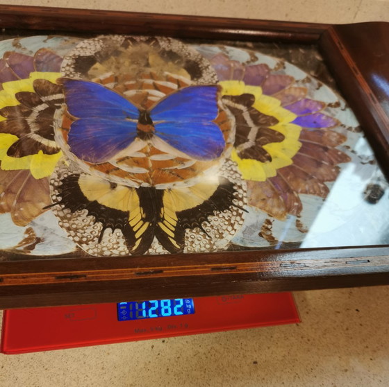 Image 1 of Vassoio antico con ali di farfalla - Art Déco