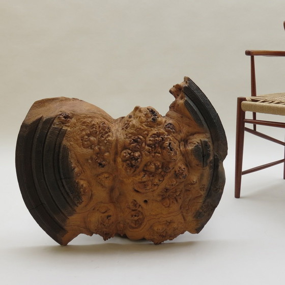 Image 1 of Wandsculptuur van wortelnotenhout handgemaakt door Mike Scott Chai