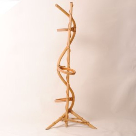 Image 1 of Handmade plant stand in varnished natural bamboo and rattan, 1950s