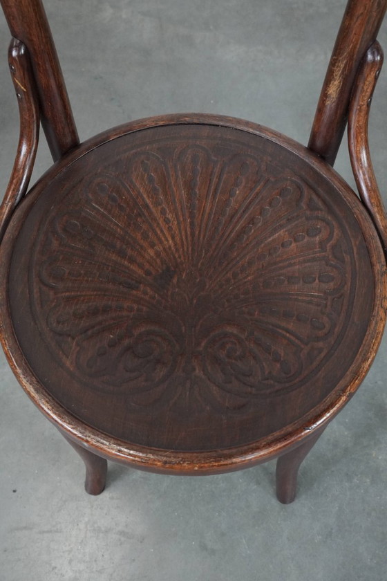 Image 1 of 4 sedie da bistrot Cosmos in legno vintage, dal design intramontabile