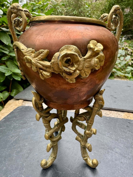 Kupfer-Bronze-Pflanzgefäß aus dem 19. Jahrhundert – Dekorative Objekte, Messing (photo 3 of 10)
