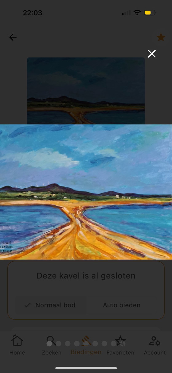 Image 1 of Bekanntes Werk von Maya Wildevuur aus dem Jahr 2008 „La Franqui“, Acryl, 70 x 90 cm