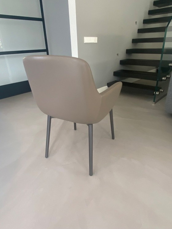 Image 1 of Minotti Flavin dining chair 4x