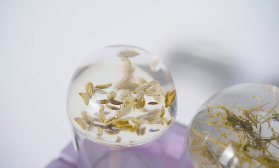 Image 1 of French Plexiglas Vintage Spice Container Jars – Set of 6 Preserved Herb Cylinders