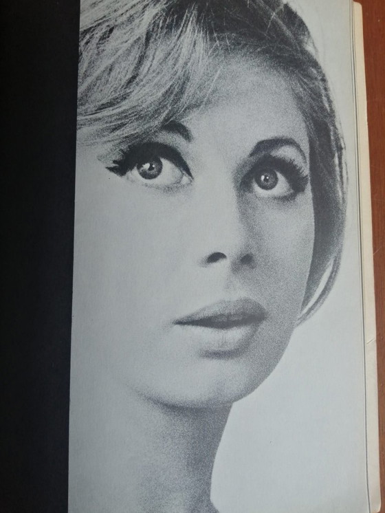 Image 1 of Five Girls Photographed by Sam Haskins. Ed. Corgi 1969