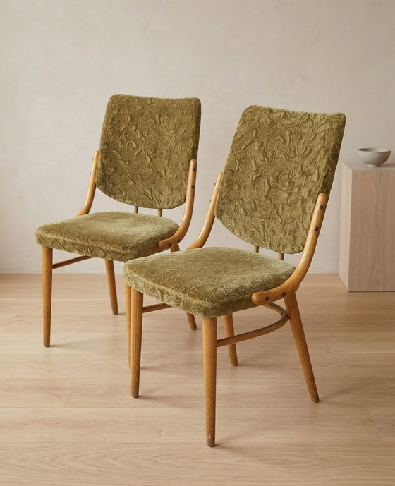 Image 1 of Bentwood Dining Chairs set of 4, Retro Beech Wood & Olive Velour Chair, TON 1960s–1970s, Czechoslovakia