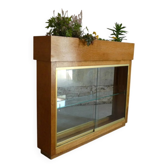 Verlichte plantenbak vitrine uit de jaren 50 – Glas, Vintage (photo 2 of 13)