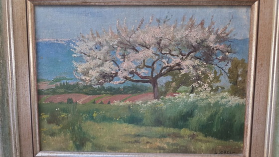 Dipinto di A. Cresti, Paesaggio con albero in fiore, Dipinti e disegni, Legno, Tela, Verde (foto 3 di 12)