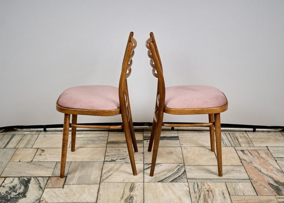 Image 1 of Set of 4 Dining Chairs, TON, 1960s, Czechoslovakia