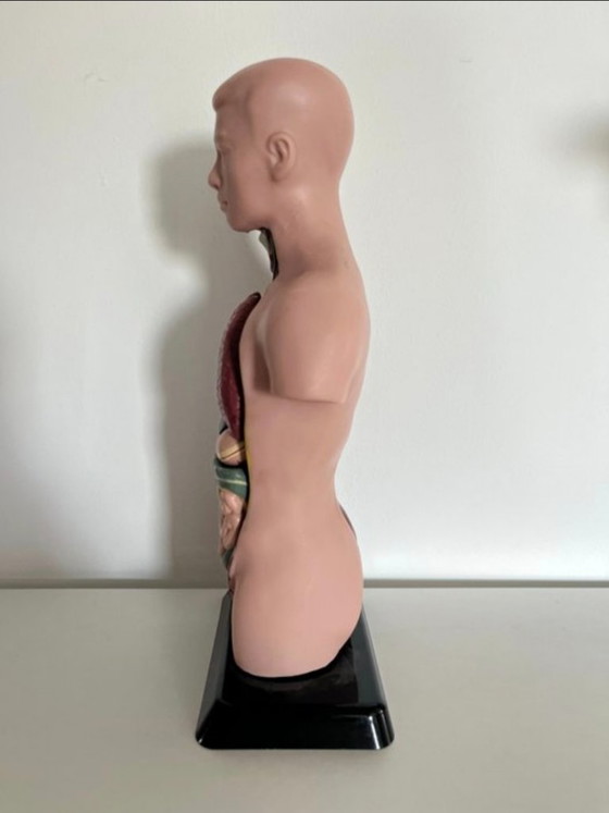 Image 1 of Education/demonstration model 1980s