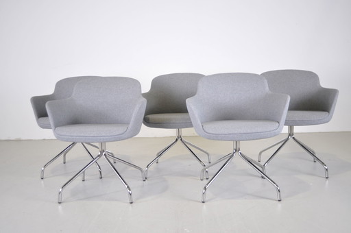 5x Sillón/silla Roels Queen