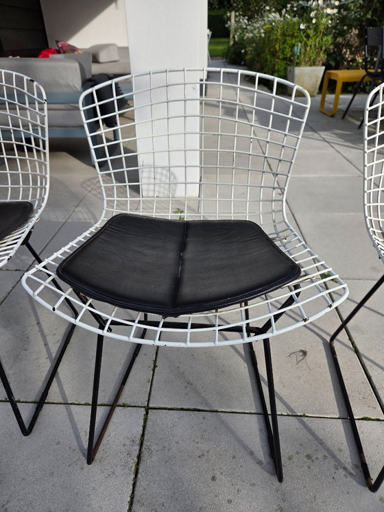 3 vintage Harry Bertoia chairs (Knoll) – Dining chairs, Metal (photo 3 of 8)