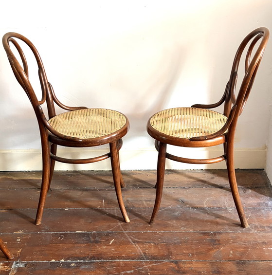 Image 1 of Seltene antike Thonet „Omega“ Modell 20, 5x Esszimmerstuhl aus Bugholz und Gurtband