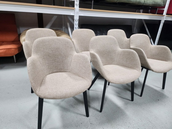 Walter Knoll - Sheru Chaises de salle à manger 6x – Autre (photo 2 of 7)