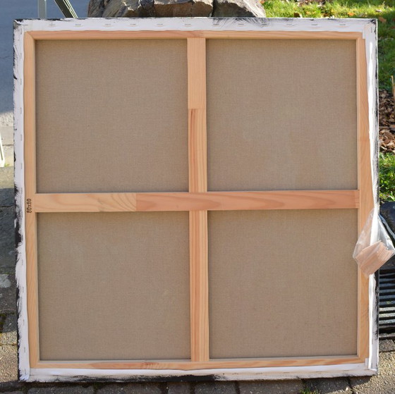 Image 1 of Dove i colori imparano a volare