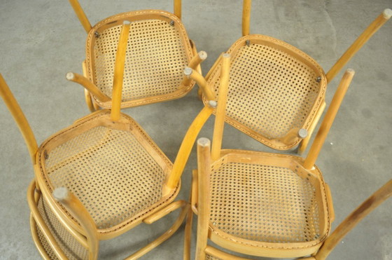 Image 1 of Set of 4 vintage Joseph Hoffmann No. 811 Prague chairs by FMG, 1950s, Poland