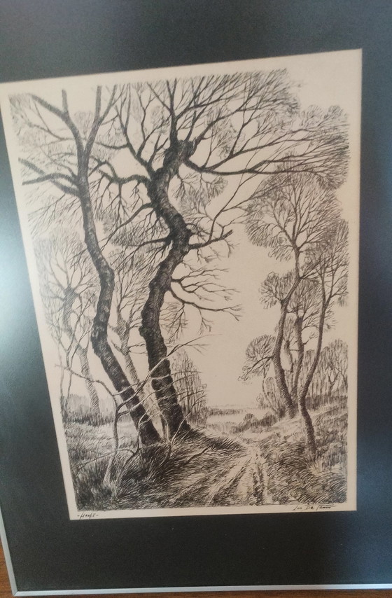 Image 1 of Disegno autunnale di Luc De Pauw