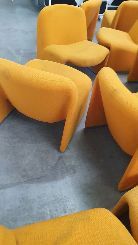 Image 1 of 12 fauteuils Alky Artifort Piretti Castelli / reupholsterable