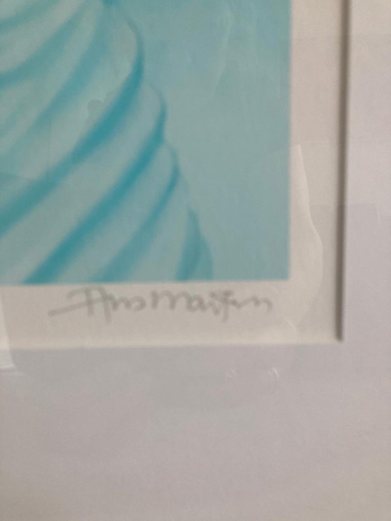 Image 1 of Ans Markus gesigneerd ingelijst met passe partout