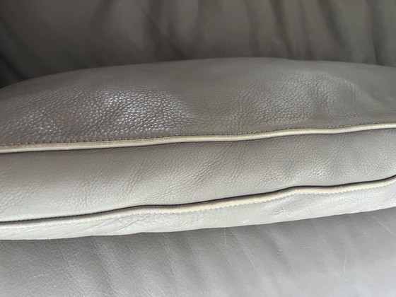 Image 1 of Molinari Modelo Aspen, Color Hígado 2017