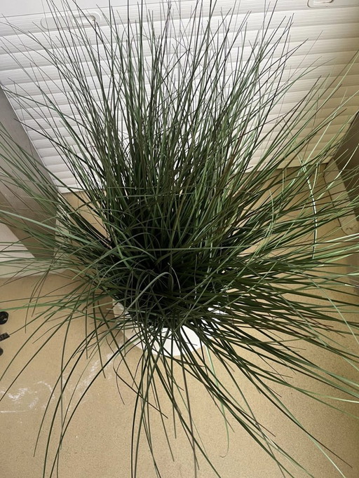 Planta artificial con maceta blanca