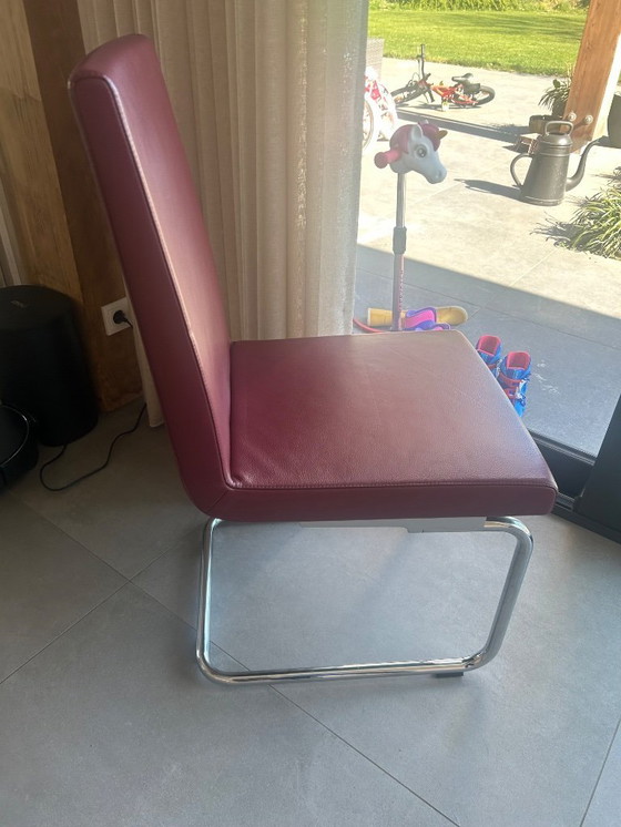 Image 1 of Sedie da pranzo Rolf Benz 620 rosso scuro