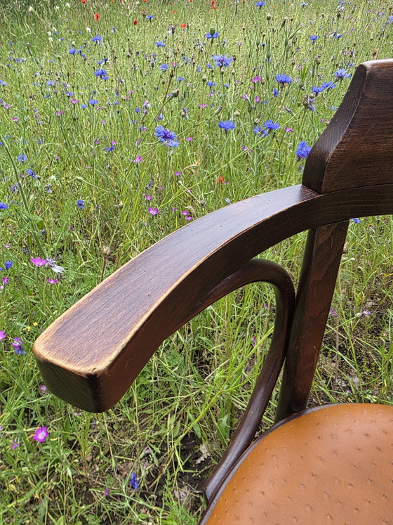 Image 1 of Chaise de café Satellite de style Thonet avec structure en autruche