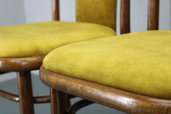 Image 1 of Juego de cuatro sillas de comedor de madera curvada de haya restauradas de la década de 1970, de TON, Checoslovaquia