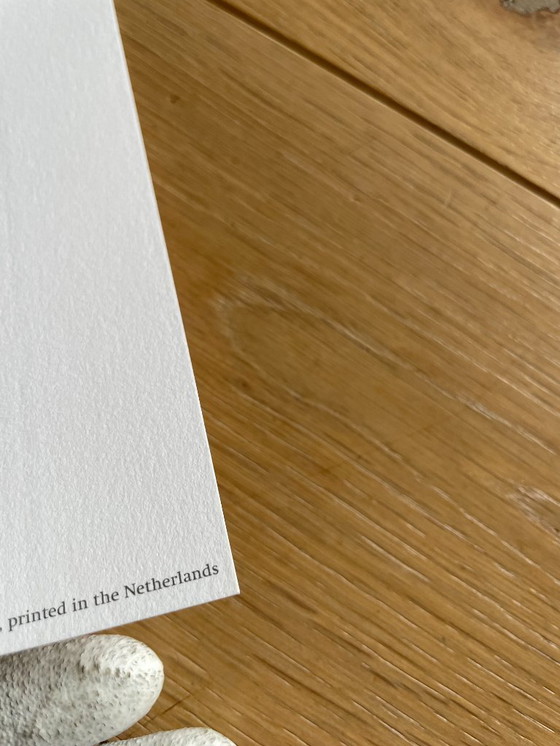 Image 1 of Domenico Gnoli (1933-1970), Bagnarola, 1966, copyright Marzia Gnoli, 1994, Printed in the Netherlands