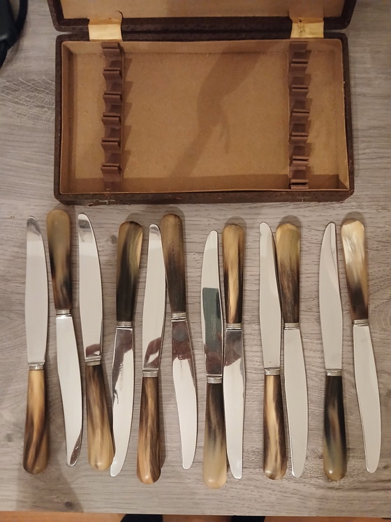 Set van 12 Messen 23 Cm Thiers Hoorn Handvat 1920 1930 – Besteksets, Metal (photo 10 of 14)