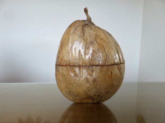 Image 1 of Large ice bucket, ice cube tray, 1970s. Vintage coconut ice bucket