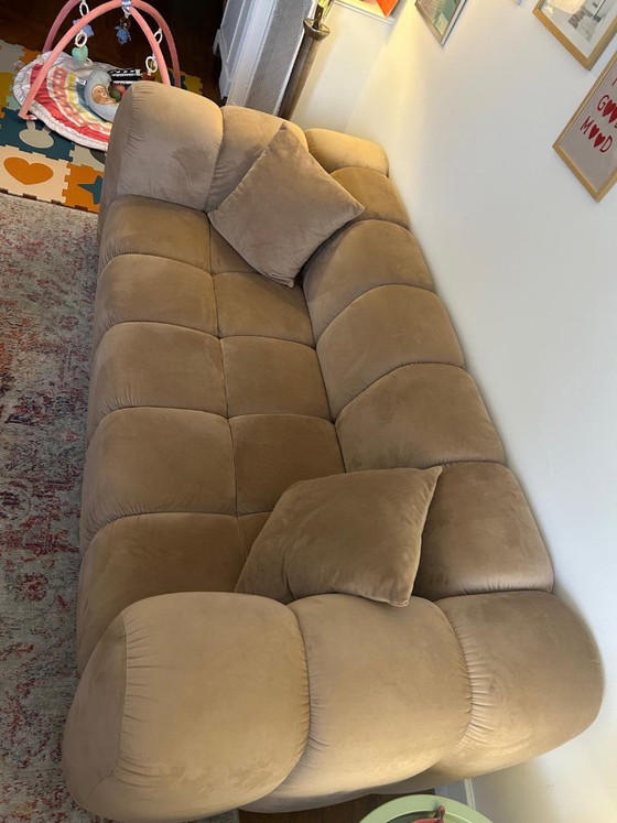 Windsor & Co Taupe/Beige Velvet Sofa – Windsor and Co, 3-5 seaters (photo 9 of 11)