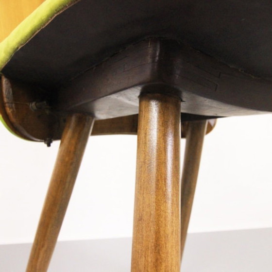 Image 1 of 4x Chaises Tatra "Spring Grass" (herbe de printemps)