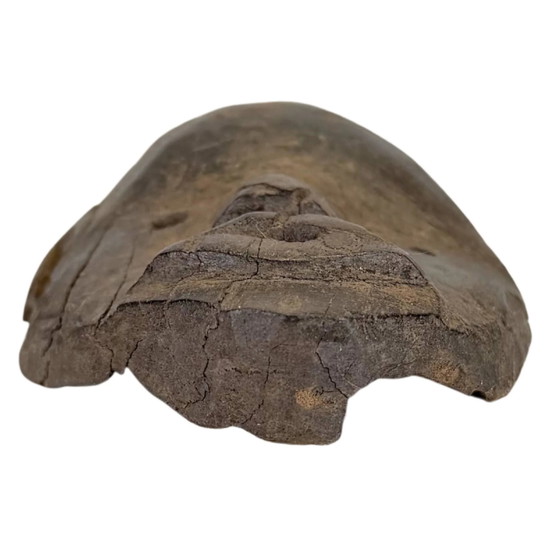 Antica Maschera Africana in Legno Arte da Parete – Sculture, Tribal (photo 5 of 6)