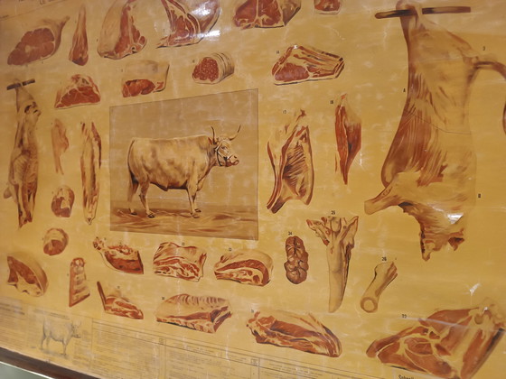 Image 1 of Schulplakat Metzgerschule „Het Rund“