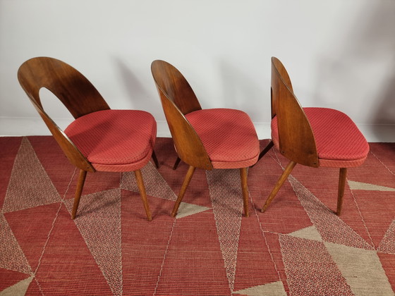 Image 1 of Vintage Chairs By Antonin Suman, 1960S, Set Of 3