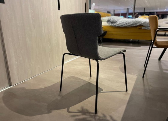 Image 1 of Banne Backup