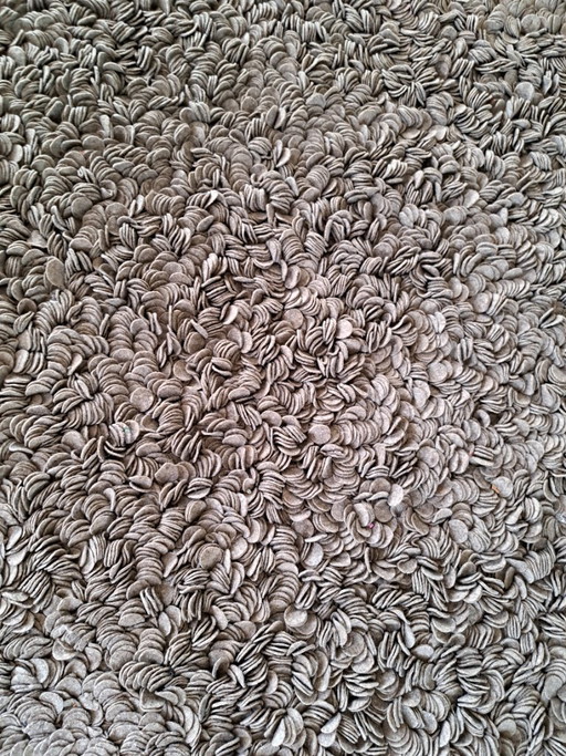 Exclusief Design Vloerkleed Toulemonde Bochart – 200x300 Cm Topstaat – vloerkleden en tapijten, Wool (photo 2 of 5)