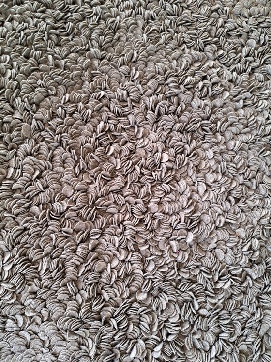 Exclusief Design Vloerkleed Toulemonde Bochart – 200x300 Cm Topstaat – Vloerkleden en tapijten, Wool (photo 2 of 5)