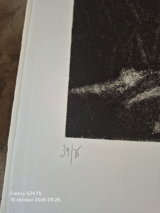René Lannoy Engravings, Set of 55 – Lithographs & prints, Paper (photo 5 of 11)