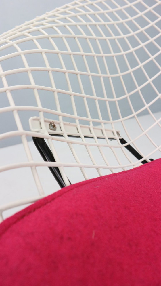 Image 1 of Silla Diamond de Harry Bertoia en metal blanco y negro y nuevos asientos años 60